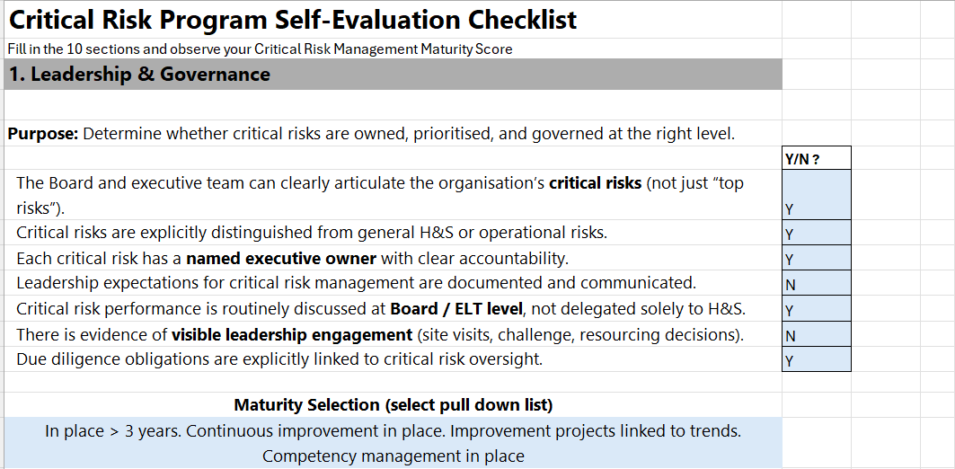 Critical Risk Program Self‑Evaluation Checklist